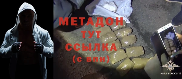 шишки Аркадак