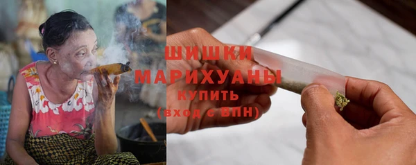 шишки Аркадак
