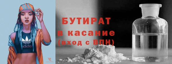 шишки Аркадак