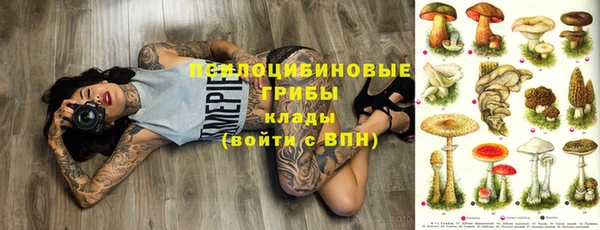 герыч Арсеньев