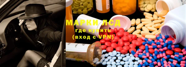 шишки Аркадак
