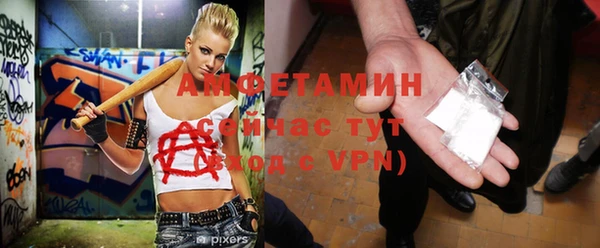 шишки Аркадак