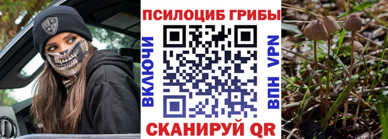 Галлюциногенные грибы Magic Shrooms  Лахденпохья 